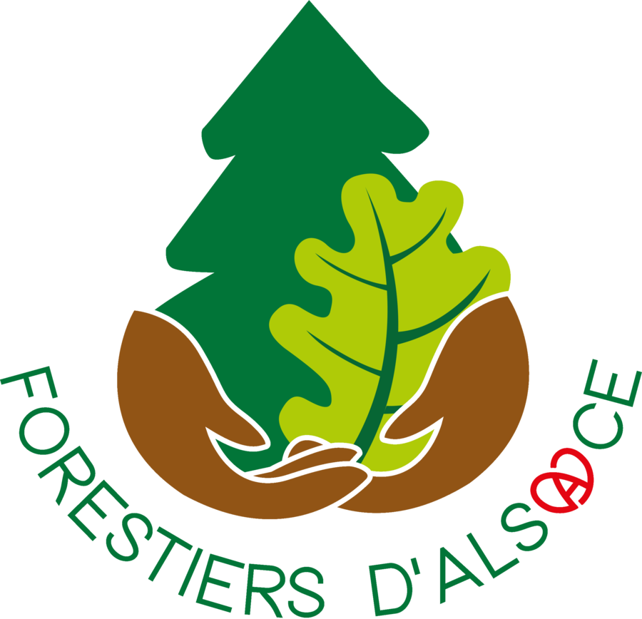 Logo forestiers d'alsace