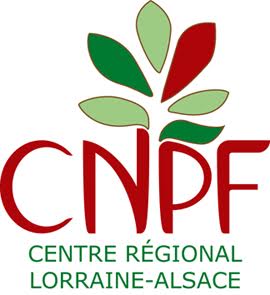 Logo CNPF